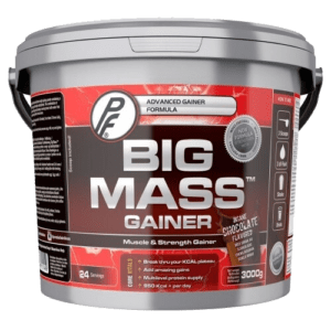 Big Mass Gainer