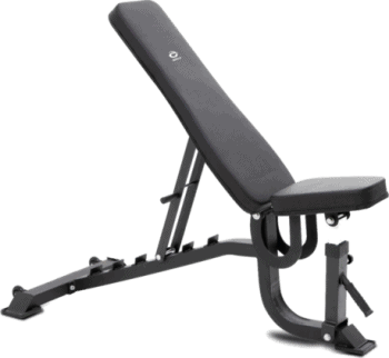 Abilica Premium FID Bench 2.0