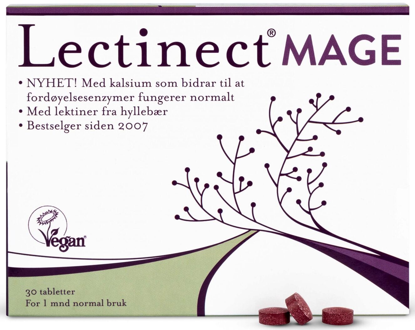 Lectinect Mage Feature