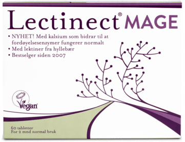 Lectinect Mage