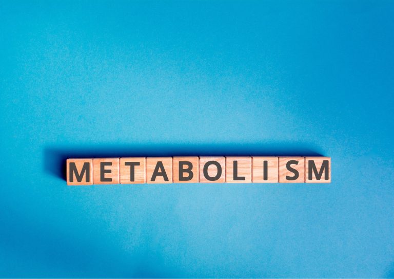 Metabolisme