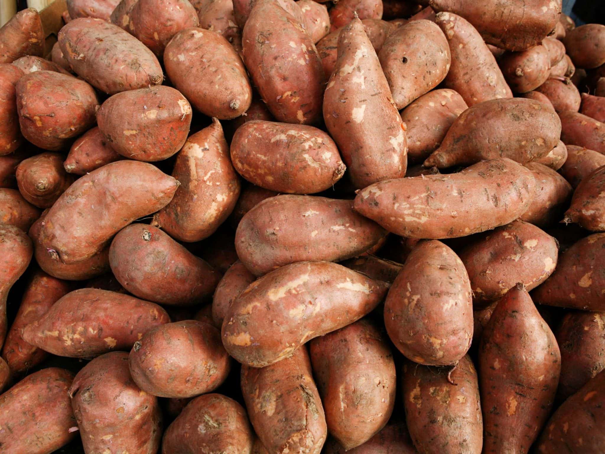 Søtpotet vs potet Er søtpotet sunnere? GetFitness